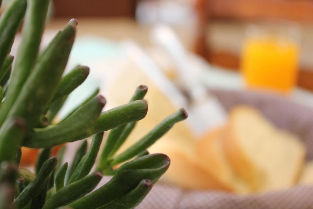 Santa Irini Hotel Perissa  Zewnętrze zdjęcie